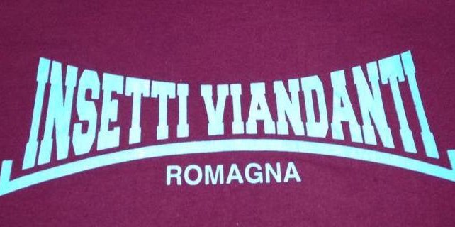 Raduno vespe e lambrette poche pugnette